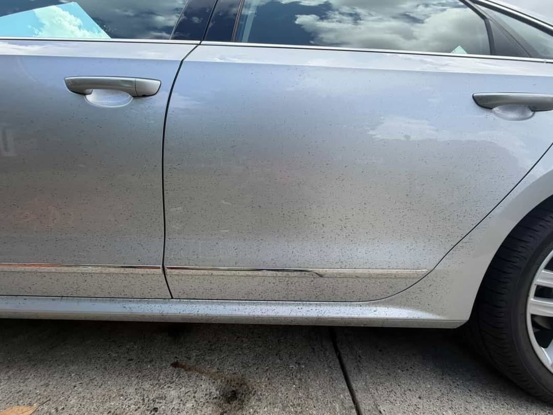 Exterior wash before